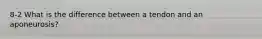 8-2 What is the difference between a tendon and an aponeurosis?