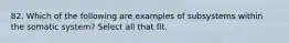 82. Which of the following are examples of subsystems within the somatic system? Select all that fit.