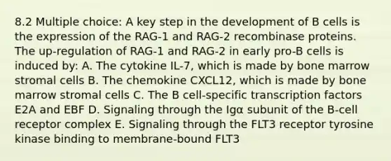 8.2 Multiple choice: A key step in the development of B cells is the expression of the RAG-1 and RAG-2 recombinase proteins. The up-regulation of RAG-1 and RAG-2 in early pro-B cells is induced by: A. The cytokine IL-7, which is made by bone marrow stromal cells B. The chemokine CXCL12, which is made by bone marrow stromal cells C. The B cell-specific transcription factors E2A and EBF D. Signaling through the Igα subunit of the B-cell receptor complex E. Signaling through the FLT3 receptor tyrosine kinase binding to membrane-bound FLT3