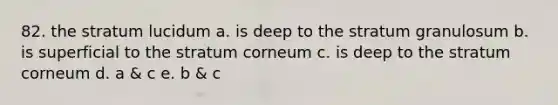 82. the stratum lucidum a. is deep to the stratum granulosum b. is superficial to the stratum corneum c. is deep to the stratum corneum d. a & c e. b & c