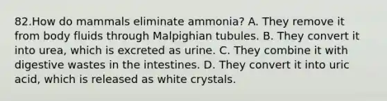 82.How do mammals eliminate ammonia? A. They remove it from body fluids through Malpighian tubules. B. They convert it into urea, which is excreted as urine. C. They combine it with digestive wastes in the intestines. D. They convert it into uric acid, which is released as white crystals.