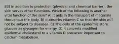 83) In addition to protection (physical and chemical barrier), the skin serves other functions. Which of the following is another vital function of the skin? A) It aids in the transport of materials throughout the body. B) It absorbs vitamin C so that the skin will not be subject to diseases. C) The cells of the epidermis store glucose as glycogen for energy. D) It converts modified epidermal cholesterol to a vitamin D precursor important to calcium metabolism.