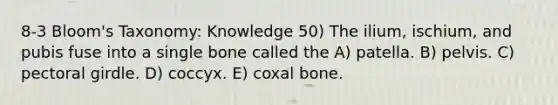 8-3 Bloom's Taxonomy: Knowledge 50) The ilium, ischium, and pubis fuse into a single bone called the A) patella. B) pelvis. C) pectoral girdle. D) coccyx. E) coxal bone.