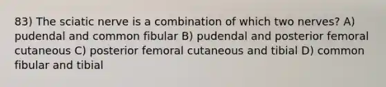 83) The sciatic nerve is a combination of which two nerves? A) pudendal and common fibular B) pudendal and posterior femoral cutaneous C) posterior femoral cutaneous and tibial D) common fibular and tibial