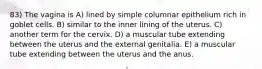 83) The vagina is A) lined by simple columnar epithelium rich in goblet cells. B) similar to the inner lining of the uterus. C) another term for the cervix. D) a muscular tube extending between the uterus and the external genitalia. E) a muscular tube extending between the uterus and the anus.