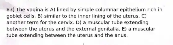 83) The vagina is A) lined by simple columnar epithelium rich in goblet cells. B) similar to the inner lining of the uterus. C) another term for the cervix. D) a muscular tube extending between the uterus and the external genitalia. E) a muscular tube extending between the uterus and the anus.