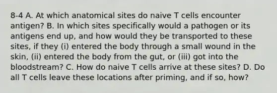 8-4 A. At which anatomical sites do naive T cells encounter antigen? B. In which sites specifically would a pathogen or its antigens end up, and how would they be transported to these sites, if they (i) entered the body through a small wound in the skin, (ii) entered the body from the gut, or (iii) got into <a href='https://www.questionai.com/knowledge/k7oXMfj7lk-the-blood' class='anchor-knowledge'>the blood</a>stream? C. How do naive T cells arrive at these sites? D. Do all T cells leave these locations after priming, and if so, how?