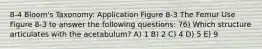 8-4 Bloom's Taxonomy: Application Figure 8-3 The Femur Use Figure 8-3 to answer the following questions: 76) Which structure articulates with the acetabulum? A) 1 B) 2 C) 4 D) 5 E) 9