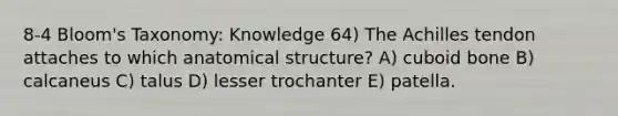 8-4 Bloom's Taxonomy: Knowledge 64) The Achilles tendon attaches to which anatomical structure? A) cuboid bone B) calcaneus C) talus D) lesser trochanter E) patella.