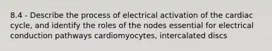 8.4 - Describe the process of electrical activation of the cardiac cycle, and identify the roles of the nodes essential for electrical conduction pathways cardiomyocytes, intercalated discs