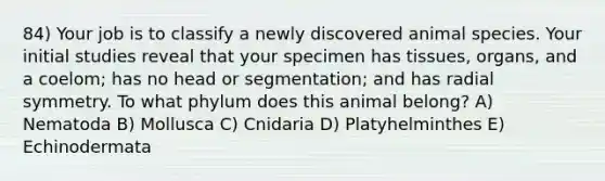 84) Your job is to classify a newly discovered animal species. Your initial studies reveal that your specimen has tissues, organs, and a coelom; has no head or segmentation; and has radial symmetry. To what phylum does this animal belong? A) Nematoda B) Mollusca C) Cnidaria D) Platyhelminthes E) Echinodermata