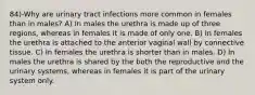 84)-Why are urinary tract infections more common in females than in males? A) In males the urethra is made up of three regions, whereas in females it is made of only one. B) In females the urethra is attached to the anterior vaginal wall by connective tissue. C) In females the urethra is shorter than in males. D) In males the urethra is shared by the both the reproductive and the urinary systems, whereas in females it is part of the urinary system only.