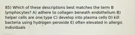 85) Which of these descriptions best matches the term B lymphocytes? A) adhere to collagen beneath endothelium B) helper cells are one type C) develop into plasma cells D) kill bacteria using hydrogen peroxide E) often elevated in allergic individuals