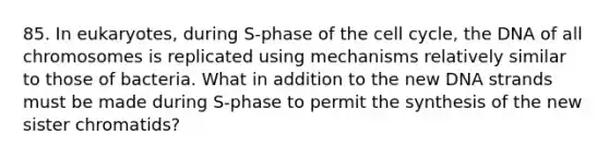 85. In eukaryotes, during S-phase of the <a href='https://www.questionai.com/knowledge/keQNMM7c75-cell-cycle' class='anchor-knowledge'>cell cycle</a>, the DNA of all chromosomes is replicated using mechanisms relatively similar to those of bacteria. What in addition to the new DNA strands must be made during S-phase to permit the synthesis of the new sister chromatids?