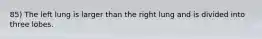 85) The left lung is larger than the right lung and is divided into three lobes.