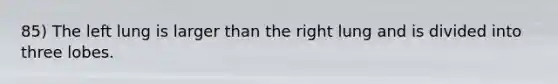 85) The left lung is larger than the right lung and is divided into three lobes.