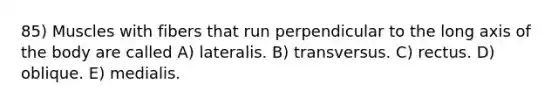 85) Muscles with fibers that run perpendicular to the long axis of the body are called A) lateralis. B) transversus. C) rectus. D) oblique. E) medialis.