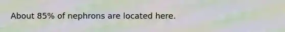 About 85% of nephrons are located here.