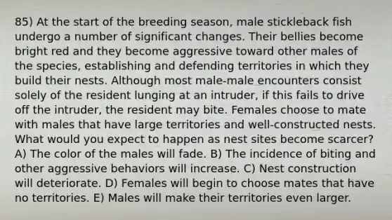 85) At the start of the breeding season, male stickleback fish undergo a number of significant changes. Their bellies become bright red and they become aggressive toward other males of the species, establishing and defending territories in which they build their nests. Although most male-male encounters consist solely of the resident lunging at an intruder, if this fails to drive off the intruder, the resident may bite. Females choose to mate with males that have large territories and well-constructed nests. What would you expect to happen as nest sites become scarcer? A) The color of the males will fade. B) The incidence of biting and other aggressive behaviors will increase. C) Nest construction will deteriorate. D) Females will begin to choose mates that have no territories. E) Males will make their territories even larger.