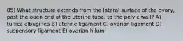 85) What structure extends from the lateral surface of the ovary, past the open end of the uterine tube, to the pelvic wall? A) tunica albuginea B) uterine ligament C) ovarian ligament D) suspensory ligament E) ovarian hilum