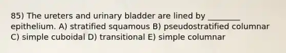 85) The ureters and urinary bladder are lined by ________ epithelium. A) stratified squamous B) pseudostratified columnar C) simple cuboidal D) transitional E) simple columnar