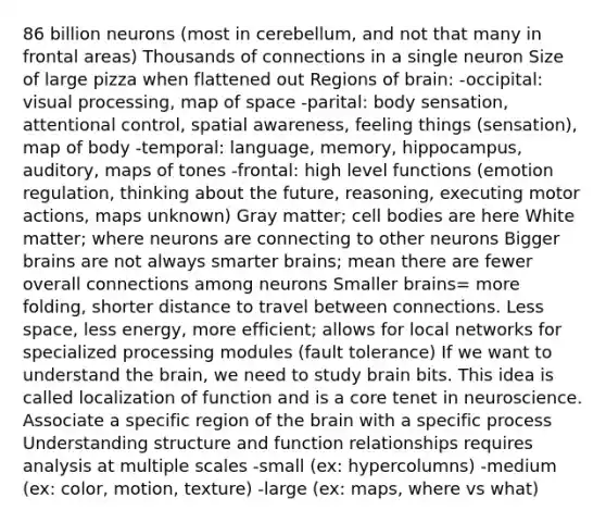 86 billion neurons (most in cerebellum, and not that many in frontal areas) Thousands of connections in a single neuron Size of large pizza when flattened out Regions of brain: -occipital: visual processing, map of space -parital: body sensation, attentional control, spatial awareness, feeling things (sensation), map of body -temporal: language, memory, hippocampus, auditory, maps of tones -frontal: high level functions (emotion regulation, thinking about the future, reasoning, executing motor actions, maps unknown) Gray matter; cell bodies are here White matter; where neurons are connecting to other neurons Bigger brains are not always smarter brains; mean there are fewer overall connections among neurons Smaller brains= more folding, shorter distance to travel between connections. Less space, less energy, more efficient; allows for local networks for specialized processing modules (fault tolerance) If we want to understand the brain, we need to study brain bits. This idea is called localization of function and is a core tenet in neuroscience. Associate a specific region of the brain with a specific process Understanding structure and function relationships requires analysis at multiple scales -small (ex: hypercolumns) -medium (ex: color, motion, texture) -large (ex: maps, where vs what)