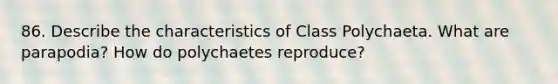 86. Describe the characteristics of Class Polychaeta. What are parapodia? How do polychaetes reproduce?