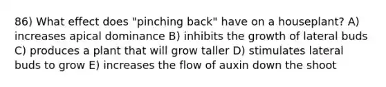 86) What effect does "pinching back" have on a houseplant? A) increases apical dominance B) inhibits the growth of lateral buds C) produces a plant that will grow taller D) stimulates lateral buds to grow E) increases the flow of auxin down the shoot