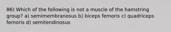 86) Which of the following is not a muscle of the hamstring group? a) semimembranosus b) biceps femoris c) quadriceps femoris d) semitendinosus