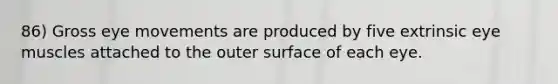 86) Gross eye movements are produced by five extrinsic eye muscles attached to the outer surface of each eye.