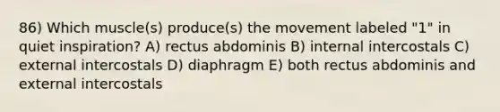 86) Which muscle(s) produce(s) the movement labeled "1" in quiet inspiration? A) rectus abdominis B) internal intercostals C) external intercostals D) diaphragm E) both rectus abdominis and external intercostals