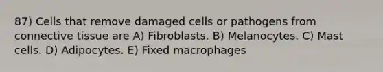 87) Cells that remove damaged cells or pathogens from <a href='https://www.questionai.com/knowledge/kYDr0DHyc8-connective-tissue' class='anchor-knowledge'>connective tissue</a> are A) Fibroblasts. B) Melanocytes. C) Mast cells. D) Adipocytes. E) Fixed macrophages