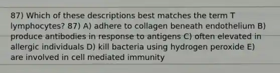 87) Which of these descriptions best matches the term T lymphocytes? 87) A) adhere to collagen beneath endothelium B) produce antibodies in response to antigens C) often elevated in allergic individuals D) kill bacteria using hydrogen peroxide E) are involved in cell mediated immunity