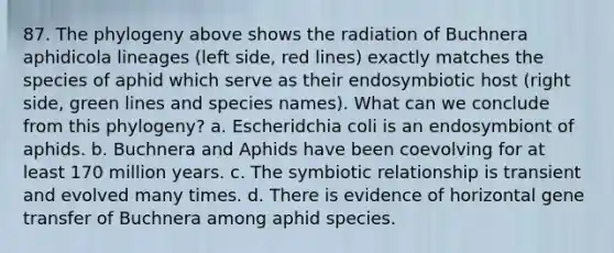 87. The phylogeny above shows the radiation of Buchnera aphidicola lineages (left side, red lines) exactly matches the species of aphid which serve as their endosymbiotic host (right side, green lines and species names). What can we conclude from this phylogeny? a. Escheridchia coli is an endosymbiont of aphids. b. Buchnera and Aphids have been coevolving for at least 170 million years. c. The symbiotic relationship is transient and evolved many times. d. There is evidence of horizontal gene transfer of Buchnera among aphid species.