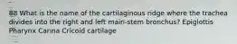 88 What is the name of the cartilaginous ridge where the trachea divides into the right and left main-stem bronchus? Epiglottis Pharynx Carina Cricoid cartilage