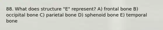 88. What does structure "E" represent? A) frontal bone B) occipital bone C) parietal bone D) sphenoid bone E) temporal bone