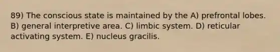 89) The conscious state is maintained by the A) prefrontal lobes. B) general interpretive area. C) limbic system. D) reticular activating system. E) nucleus gracilis.