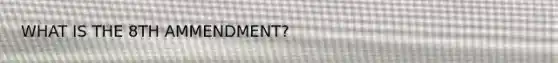 WHAT IS THE 8TH AMMENDMENT?