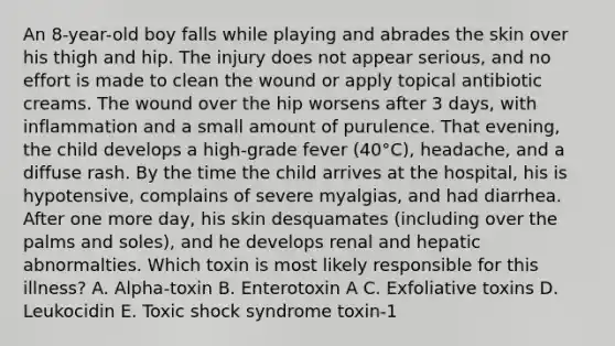 An 8-year-old boy falls while playing and abrades the skin over his thigh and hip. The injury does not appear serious, and no effort is made to clean the wound or apply topical antibiotic creams. The wound over the hip worsens after 3 days, with inflammation and a small amount of purulence. That evening, the child develops a high-grade fever (40°C), headache, and a diffuse rash. By the time the child arrives at the hospital, his is hypotensive, complains of severe myalgias, and had diarrhea. After one more day, his skin desquamates (including over the palms and soles), and he develops renal and hepatic abnormalties. Which toxin is most likely responsible for this illness? A. Alpha-toxin B. Enterotoxin A C. Exfoliative toxins D. Leukocidin E. Toxic shock syndrome toxin-1