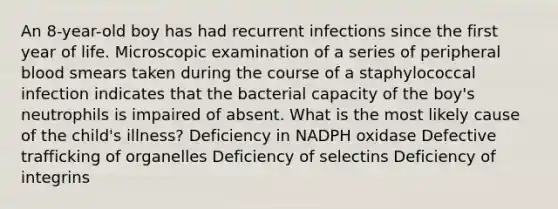 An 8-year-old boy has had recurrent infections since the first year of life. Microscopic examination of a series of peripheral blood smears taken during the course of a staphylococcal infection indicates that the bacterial capacity of the boy's neutrophils is impaired of absent. What is the most likely cause of the child's illness? Deficiency in NADPH oxidase Defective trafficking of organelles Deficiency of selectins Deficiency of integrins