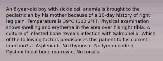 An 8-year-old boy with sickle cell anemia is brought to the pediatrician by his mother because of a 10-day history of right leg pain. Temperature is 39°C (102.2°F). Physical examination shows swelling and erythema in the area over his right tibia. A culture of infected bone reveals infection with Salmonella. Which of the following factors predisposes this patient to his current infection? a. Asplenia b. No thymus c. No lymph node d. Dysfunctional bone marrow e. No tonsils