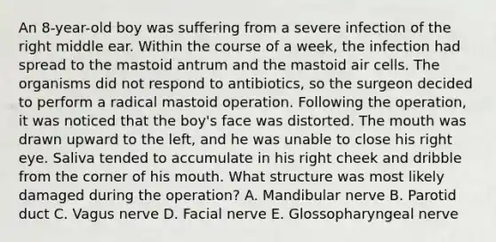 An 8-year-old boy was suffering from a severe infection of the right middle ear. Within the course of a week, the infection had spread to the mastoid antrum and the mastoid air cells. The organisms did not respond to antibiotics, so the surgeon decided to perform a radical mastoid operation. Following the operation, it was noticed that the boy's face was distorted. The mouth was drawn upward to the left, and he was unable to close his right eye. Saliva tended to accumulate in his right cheek and dribble from the corner of his mouth. What structure was most likely damaged during the operation? A. Mandibular nerve B. Parotid duct C. Vagus nerve D. Facial nerve E. Glossopharyngeal nerve