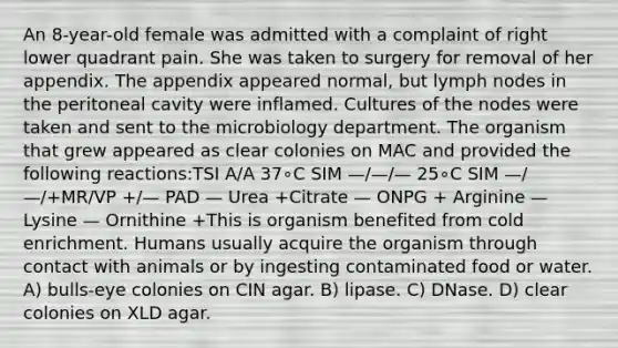 An 8-year-old female was admitted with a complaint of right lower quadrant pain. She was taken to surgery for removal of her appendix. The appendix appeared normal, but lymph nodes in the peritoneal cavity were inflamed. Cultures of the nodes were taken and sent to the microbiology department. The organism that grew appeared as clear colonies on MAC and provided the following reactions:TSI A/A 37∘C SIM —/—/— 25∘C SIM —/—/+MR/VP +/— PAD — Urea +Citrate — ONPG + Arginine —Lysine — Ornithine +This is organism benefited from cold enrichment. Humans usually acquire the organism through contact with animals or by ingesting contaminated food or water. A) bulls-eye colonies on CIN agar. B) lipase. C) DNase. D) clear colonies on XLD agar.