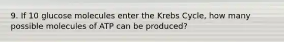 9. If 10 glucose molecules enter the Krebs Cycle, how many possible molecules of ATP can be produced?