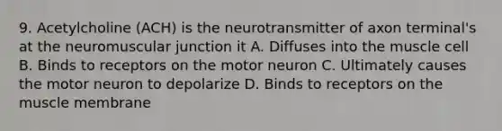 9. Acetylcholine (ACH) is the neurotransmitter of axon terminal's at the neuromuscular junction it A. Diffuses into the muscle cell B. Binds to receptors on the motor neuron C. Ultimately causes the motor neuron to depolarize D. Binds to receptors on the muscle membrane