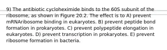 9) The antibiotic cycloheximide binds to the 60S subunit of the ribosome, as shown in Figure 20.2. The effect is to A) prevent mRNAribosome binding in eukaryotes. B) prevent peptide bond formation in prokaryotes. C) prevent polypeptide elongation in eukaryotes. D) prevent transcription in prokaryotes. E) prevent ribosome formation in bacteria.