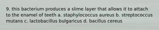 9. this bacterium produces a slime layer that allows it to attach to the enamel of teeth a. staphylococcus aureus b. streptococcus mutans c. lactobacillus bulgaricus d. bacillus cereus