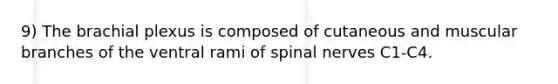 9) The brachial plexus is composed of cutaneous and muscular branches of the ventral rami of <a href='https://www.questionai.com/knowledge/kyBL1dWgAx-spinal-nerves' class='anchor-knowledge'>spinal nerves</a> C1-C4.