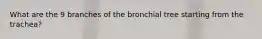 What are the 9 branches of the bronchial tree starting from the trachea?