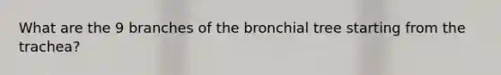 What are the 9 branches of the bronchial tree starting from the trachea?